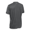 Футболка SELECT Pisa player shirt s/s Grey